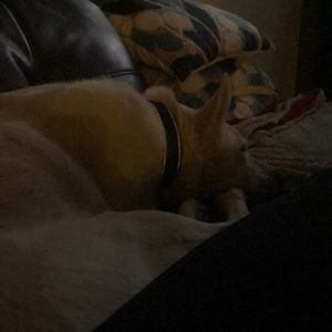 Meet your Posher, Cindy